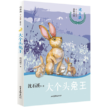 (g)^ʯϪʮФСf