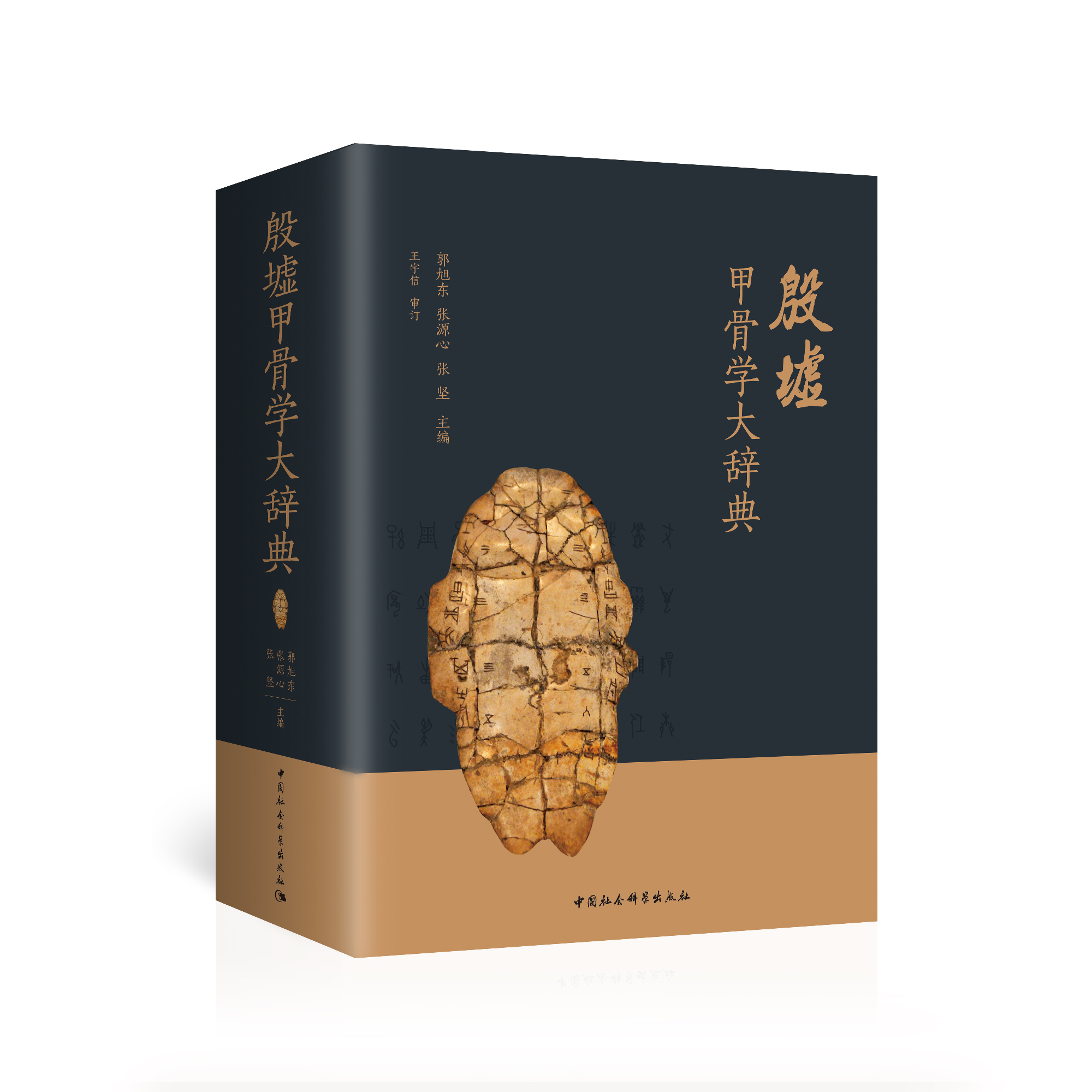 ����׹ǌW���o��