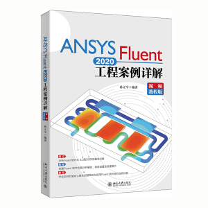 ANSYSFluent2020̰Ԕ⣨ҕl̳̰棩