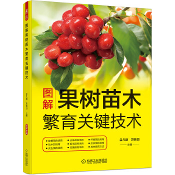 DľP(gun)Ig(sh)12N޽ľ(sh)硢w硢Ǥľ