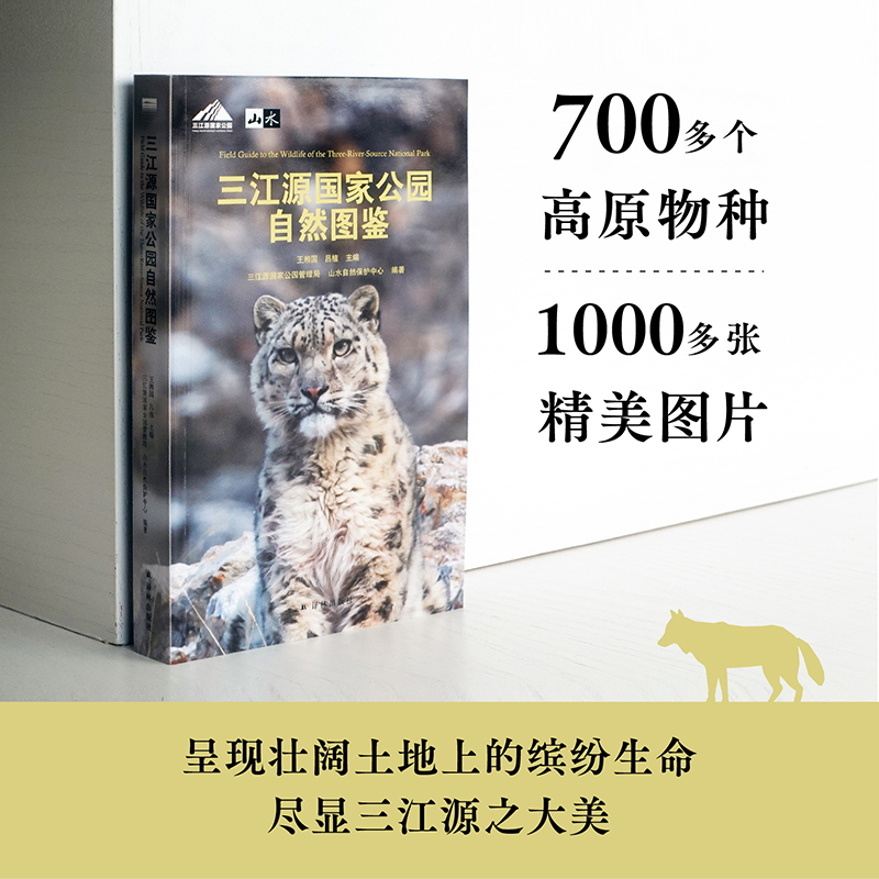 Դҹ@ȻDb 700ԭN1000DƬʬF(xin)ϵ_H