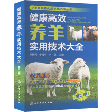 СҎ(gu)Ҏ(gu)B(yng)ֳ--ЧB(yng)?q)üg(sh)ȫڶ棩