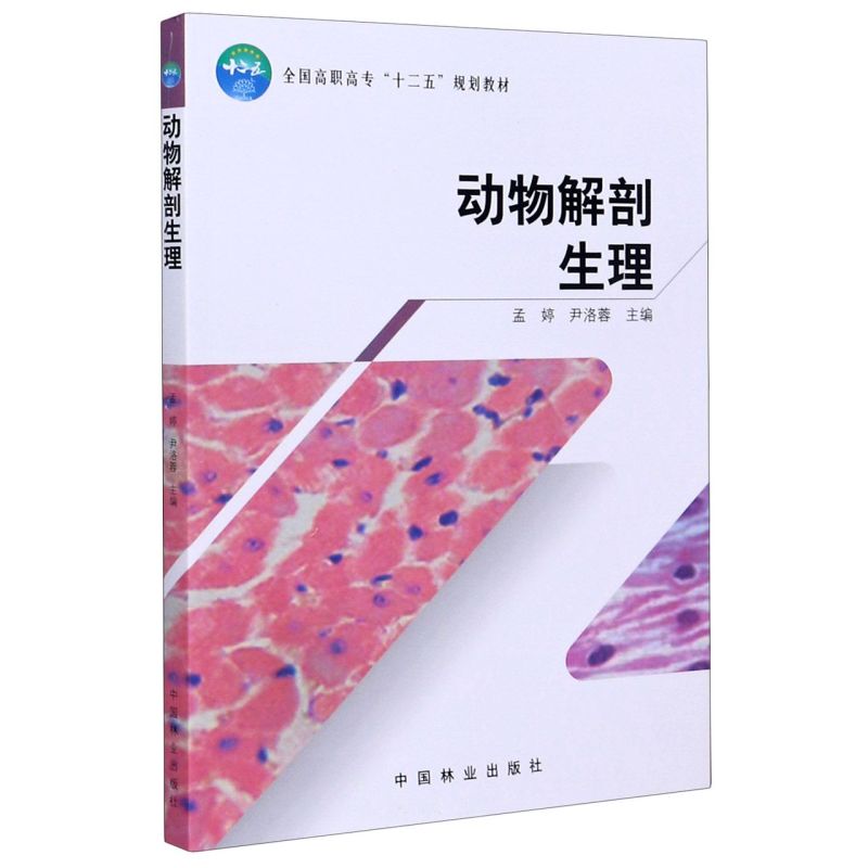 ߌʮ壩