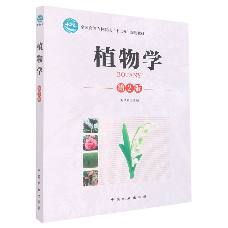 ֲWʮ壩