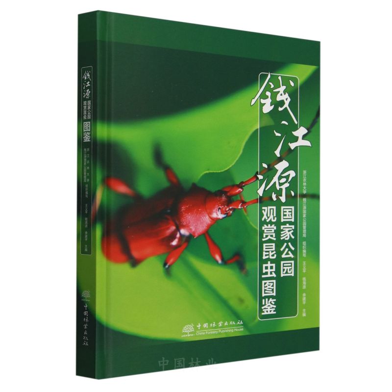 X(qin)Դ(gu)ҹ@^px(chng)Db()