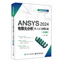 ANSYS 2024ԪTͨ棩