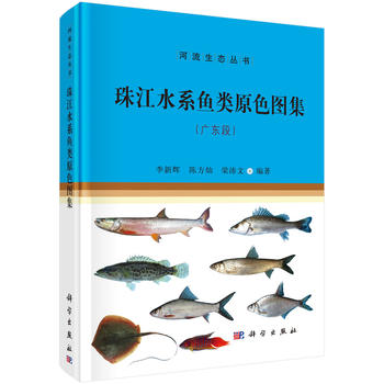 齭ˮϵ~(y)ԭɫDV|Σ