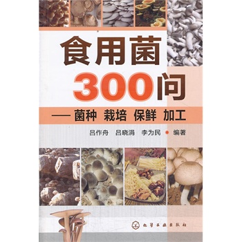 ʳþ300(wn)--Nr ӹ